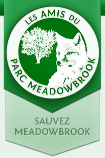 Les Amis de Meadowbrook