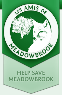 Les Amis de Meadowbrook