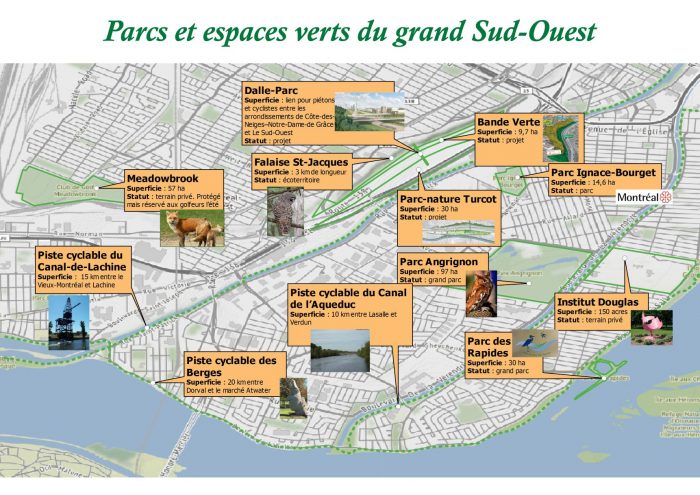 Les meilleurs laits végétaux pour la planète - Fondation David Suzuki